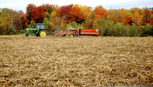 potato-harvest-header-bdn-data-s3-amazonaws-com