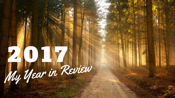 2017 – My Year in Review – Sarah Loves Data