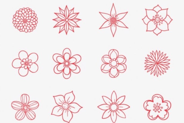 Flower Drawings