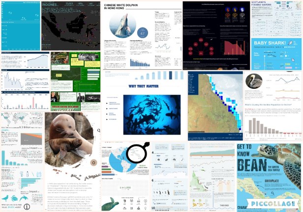 Iron Quest May June 2019 ALL