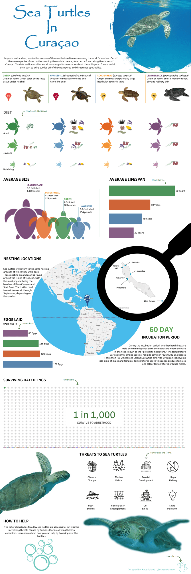Katelyn - Curacao Sea Turtles - v3