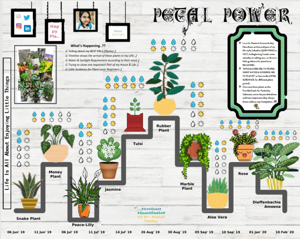 Meetali - Petal Power
